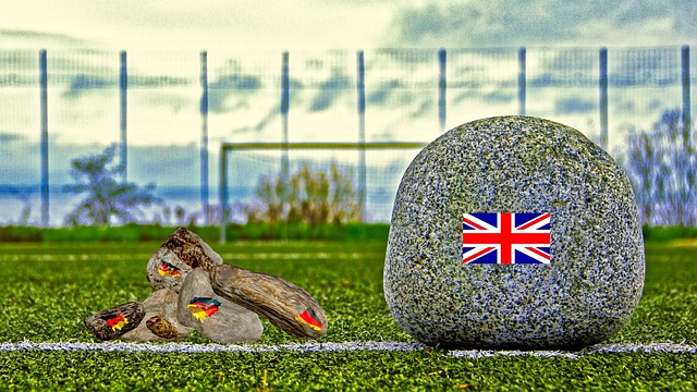 迎接挑战的 迎接挑战的