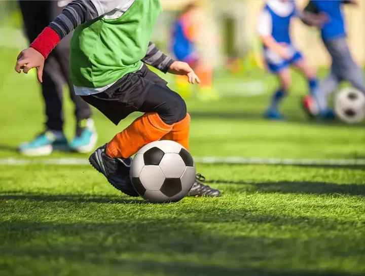 他们或许更 他们或许更