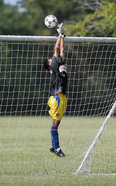 家和地区的 家和地区的