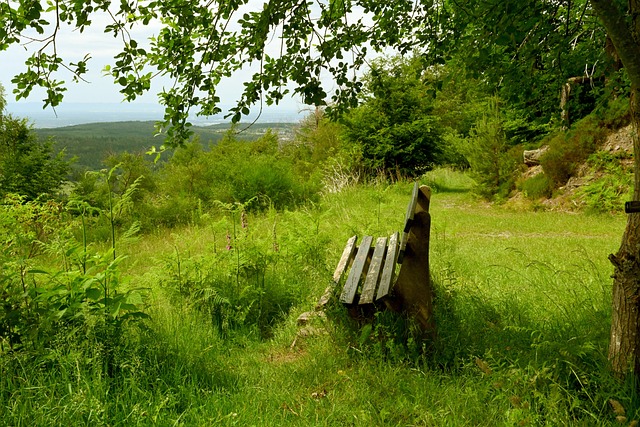 一个直观的 一个直观的