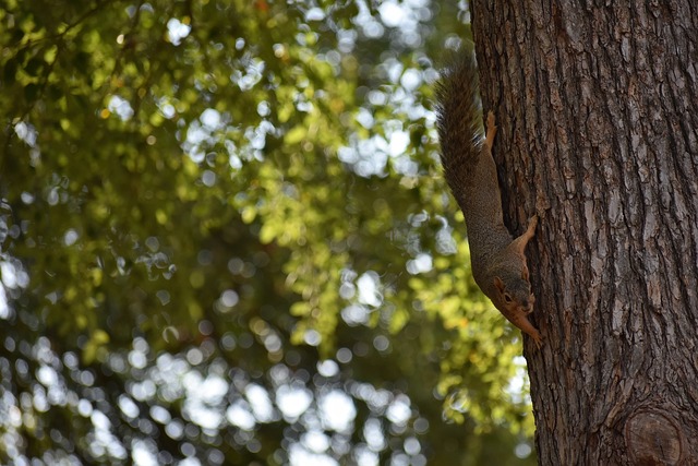 德甲第28 德甲第28