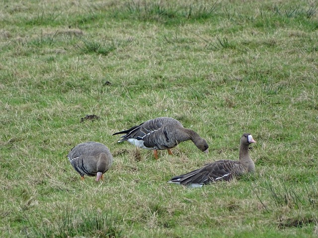 实力的考验 实力的考验