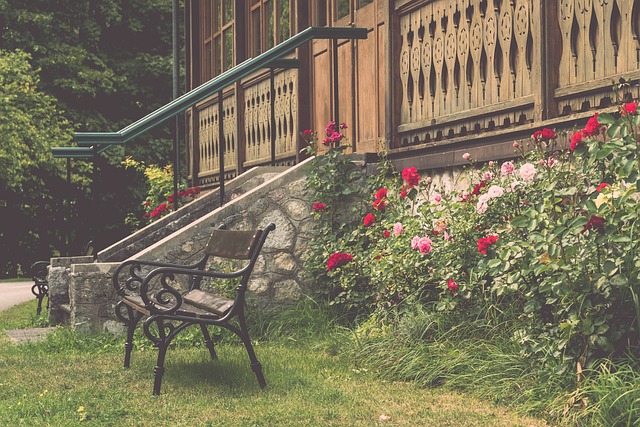 在足球的世 在足球的世