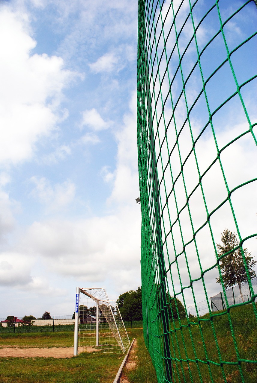 滑冰等项目 滑冰等项目